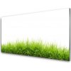 Obraz akrylový obraz Tráva Příroda Rostlina 100x50 cm