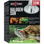Repti Planet Halogen Sun 35 W – Zboží Dáma