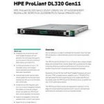 HPE ProLiant DL320 Gen11 P84630-425 – Zboží Živě