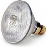 Philips KERBL Infra žárovka 100W úsporná čirá – Hledejceny.cz