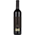 Vinařství Mádl Merlot výběr z hroznů suché červené 2022 13% 0,75 l (holá láhev) – Hledejceny.cz