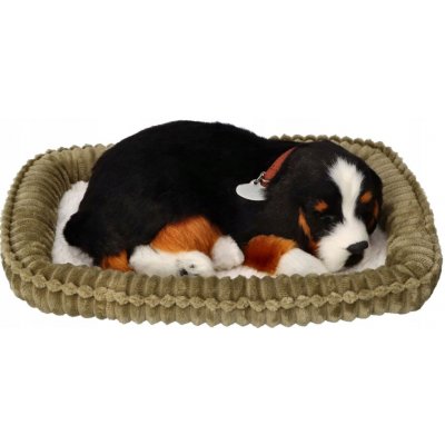 Perfect Petzzz Plyšová Hračka interaktivní Bernský salašnický pes černý – Zboží Dáma