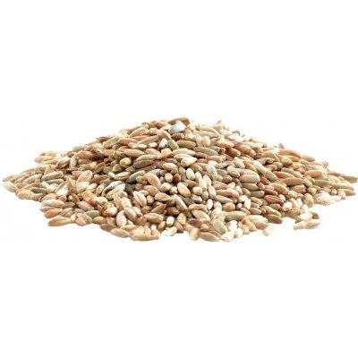 Aso Zdravý život Žito Bio 1 kg – Hledejceny.cz