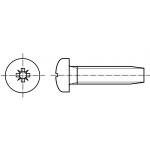 PROFISTYL DIN 7500C šroub závitotvorný s půlkulatou hlavou a křížovou drážkou POZIDRIVE pozink Varianta: DIN 7500C šroub závitotvorný s půlkulatou hlavou a křížovou drážkou ZnB M6x20 – Hledejceny.cz