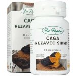 Dr. Popov Bylinné kapky Čaga Rezavec šikmý 50 ml – Hledejceny.cz
