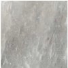 Cerim Rock Salt of Cerim celtic grey 60 x 60 cm lucido 765895 1,08m²