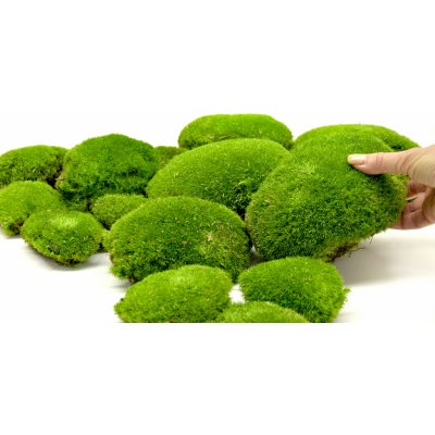 Stabilizovaný kopečkový mech (Ball Moss) Canopy | Světle zelený | 100 g – Sleviste.cz