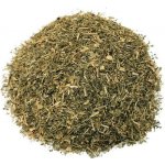 Zelené Drahokamy Kotvičník zemní Tribulus nať s plody 1000 g – Sleviste.cz