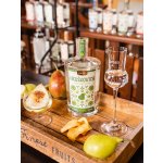 Marsen Hruškovica Traditional 42% 0,7 l (holá láhev) – Sleviste.cz