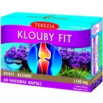 Terezia Company Klouby fit 60 kapslí – Hledejceny.cz