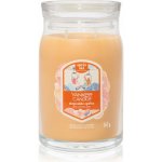 Yankee Candle Slopeside Spritz Signature 567 g – Sleviste.cz