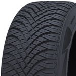 Goodride All Season Elite Z-401 205/55 R17 95V – Zboží Mobilmania