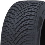 Goodride All Season Elite Z-401 205/55 R16 91V – Hledejceny.cz