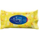 Linteo Satin Care and Comfort vlhčené ubrousky 40 ks – Zbozi.Blesk.cz