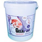 Orling Gelapony Arthro k regeneraci kloubů koní 5,4 kg – Sleviste.cz