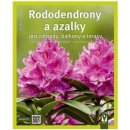 Kniha Kögelová Andrea: Rododendrony a azalky pro zahrady, balkony a terasy Kniha