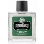 Proraso Eukalyptus balzám na vousy 100 ml – Zboží Dáma Proraso Eukalyptus balzám na vousy 100 ml – Zboží Dáma