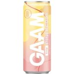 Gaam Energetický Nápoj Pineberry 330 ml – Hledejceny.cz