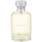 Burberry Weekend toaletní voda pánská 100 ml – Sleviste.cz