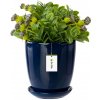 Květináč a truhlík botle Květináč s podšálkem tmavě modrá kulatá Výška 26 cm mísa Keramika lesk glamour