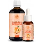 Day Spa Bio meruňkový olej 30 ml – Sleviste.cz
