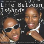 Various Artists - Life Between Islands LP – Zbozi.Blesk.cz