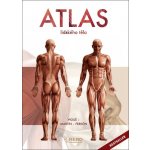 Atlas lidského těla - Jordi Vigué – Hledejceny.cz