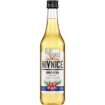 Linea Nivnice Borovička NIVNICE 37,5% 1 l (holá láhev) – Sleviste.cz
