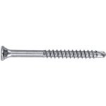 SAMOŘEZNÝ NEREZOVÝ FASÁDNÍ VRUT 3,2 X 50 mm - hlava TX10 - Balení 250 ks – Zboží Mobilmania