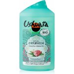 Ushuaia Ayurveda angrešt a zázvor sprchový gel 250 ml – Zboží Mobilmania