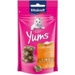 Vitakraft Cat Yums Kuře & kočičí tráva 40 g – Sleviste.cz