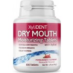 XyliDENT zvlhčující pastilky pomegranate raspberry 100 ks – Hledejceny.cz