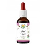 Salvia Paradise Jetel luční AF tinktura 50 ml – Hledejceny.cz