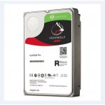 Seagate IronWolfPro 10TB, 3,5", SATAIII, ST10000NE0004 – Hledejceny.cz