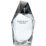 Avon Perceive toaletní voda pánská 100 ml – Hledejceny.cz