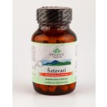 Organic India Šatavari 60 kapslí – Hledejceny.cz