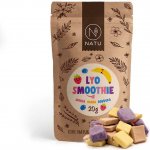 NATU Lyo smoothie mix 20 g – Zboží Mobilmania