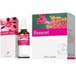 Energy Grepofit drops 30 ml + Flavocel 150 tablet – Hledejceny.cz