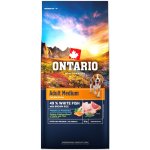 Ontario Adult Medium Fish & Brown Rice 12 kg – Zboží Dáma
