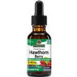 Nature's Answer Hawthorn Berry Fluid Extract, Hloh, extrakt, 2000 mg 30 ml – Hledejceny.cz