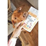 Vetki Aller-Immunity Complex Komplex imunita zažívání srst a kůže 84 g – Zboží Dáma