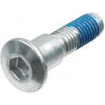 TRW ZF šrouby brzdového kotouče přední / zadní SUZUKI GSX 600 / 650 / 750 / 1200 / 1400, GSX-R 400 / 600 / 750, SV 650 / 1000, TL 1000 S / R, VZ 800 MARAUDER, GSF 400 / 600 / 650 / 1200 BANDIT (M8 X 1 – Zboží Mobilmania