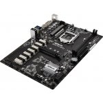 ASRock H110 PRO BTC+ – Zboží Živě