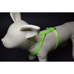 Palkar klasický postroj pro psy – Hledejceny.cz