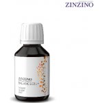 Zinzino BalanceOil 100 ml Pomeranč Rybí tuk – Zbozi.Blesk.cz