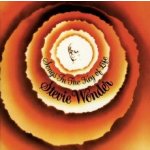 Wonder Stevie - Songs in the Key of Life CD – Hledejceny.cz