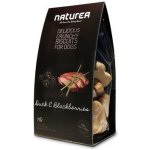 Naturea GF sušenky kachna & ostružiny 230 g