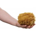 MKN Mořská houba tráva střední nebělená – Hledejceny.cz