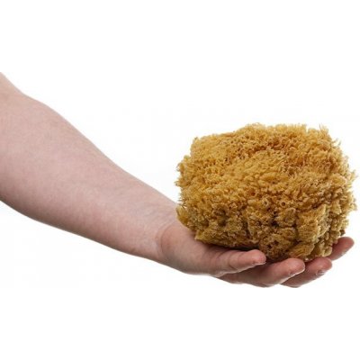 MKN Mořská houba tráva střední nebělená – Hledejceny.cz