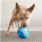 Kong Rewards plnící míč guma L – Zboží Mobilmania